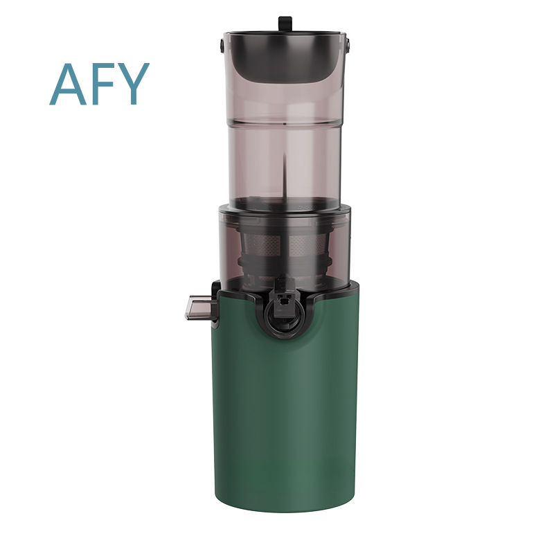 220V Electric Slow Juicer for  - Electric Slow Juicer Cold Press 评论和价格