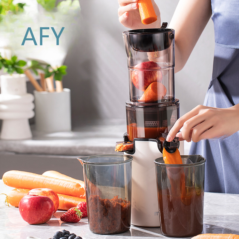 220V Electric Slow Juicer for  - Electric Slow Juicer Cold Press 评论和价格